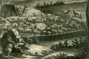 Wolf attacking a sheep, 1731 (detail)